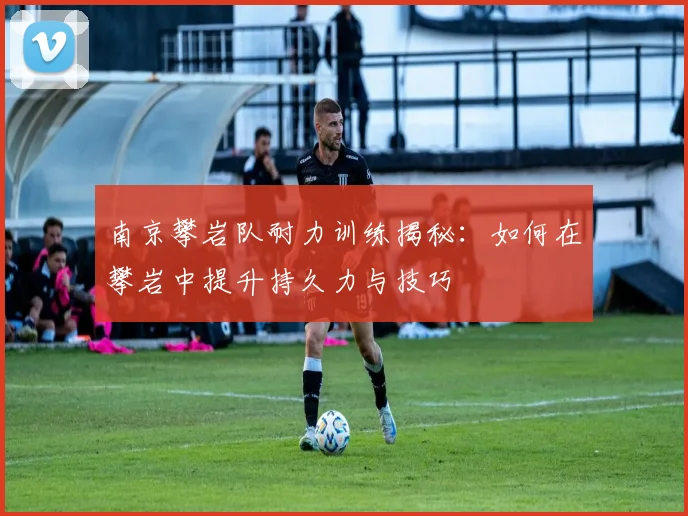 南京攀岩队耐力训练揭秘：如何在攀岩中提升持久力与技巧