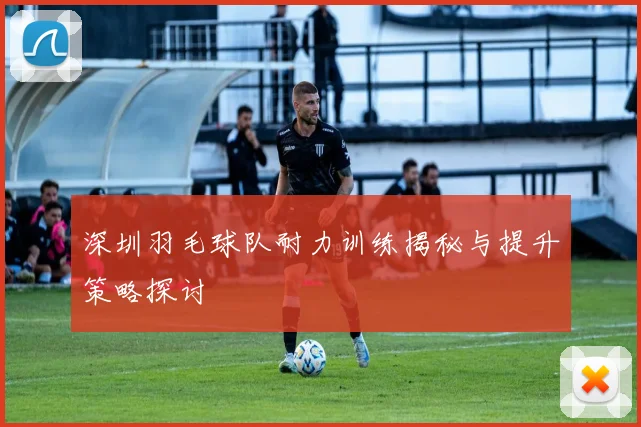 深圳羽毛球队耐力训练揭秘与提升策略探讨